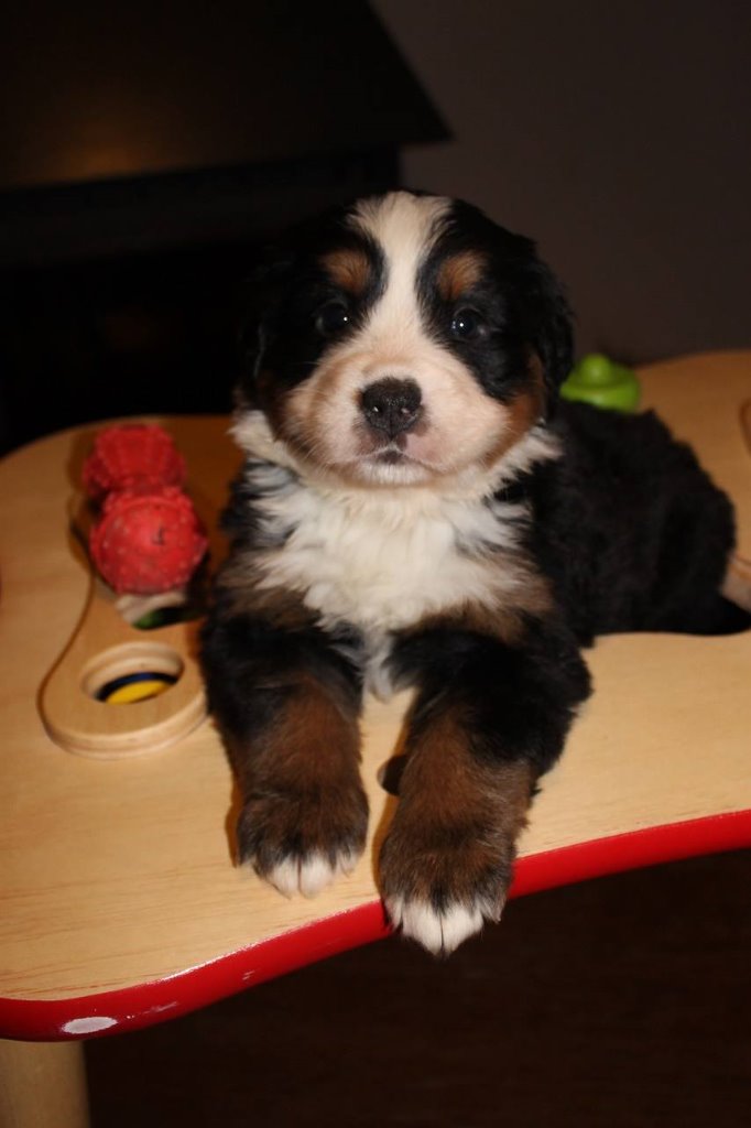 Baby !